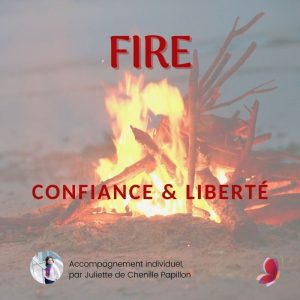 FIRE: Confiance et Liberté </br>paiement en 2x